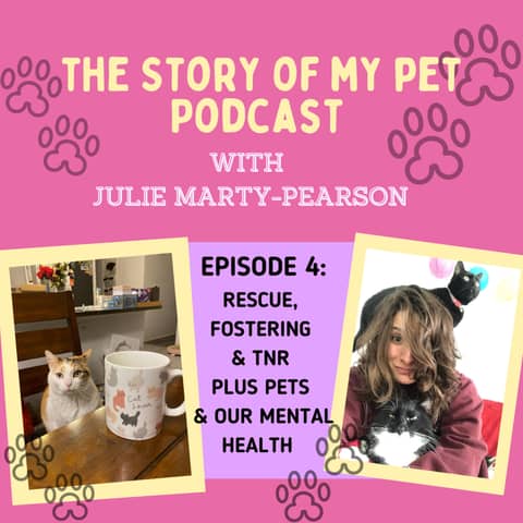 Rescue, Fostering & TNR Plus Pets & Our Mental Health