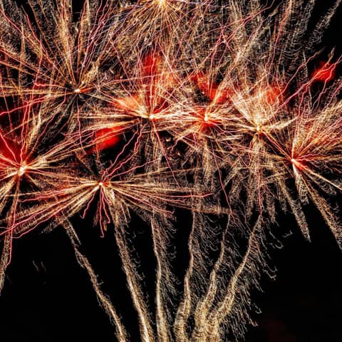 LET FREEDOM RING with Caleb Flora, Amos Denton, Joel Long, Van Flora & Tara Riddle