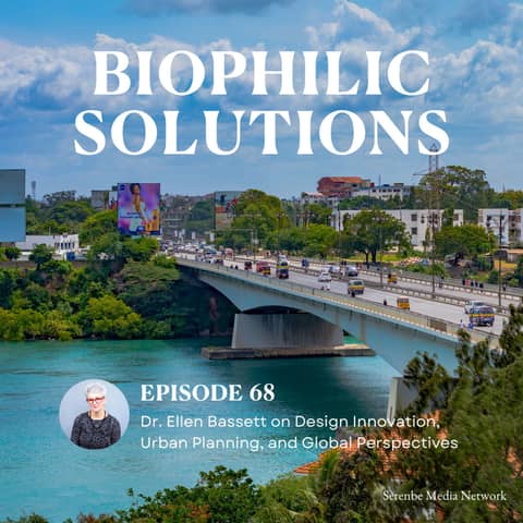 Ellen Bassett on Design Innovation, Urban Planning, and Global Perspectives