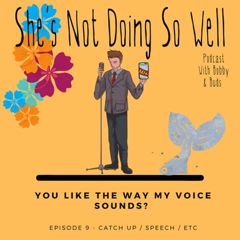 You Like the Way My Voice Sounds? - Catch Up / Gay Speech / Etc