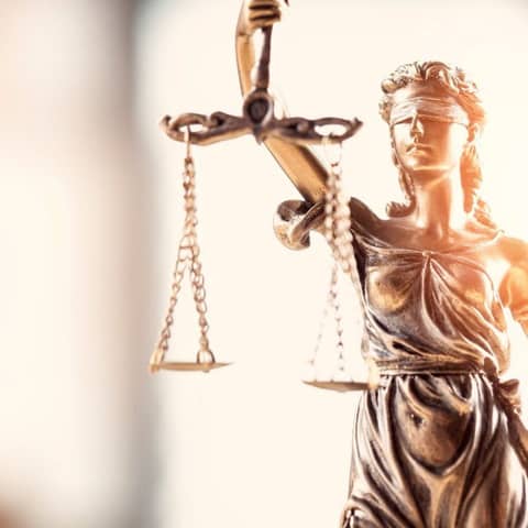 BONUS: The Criminal Justice System Job Descriptions