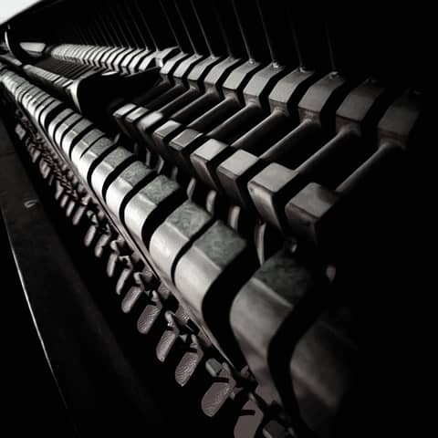 Key of F Major Harmonic Workout