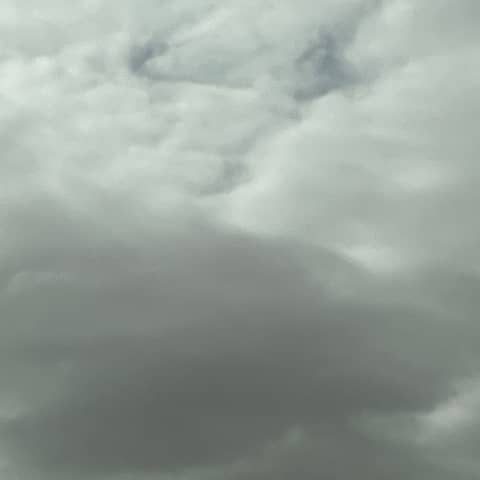 4 Your Love, it is worth GROWing for