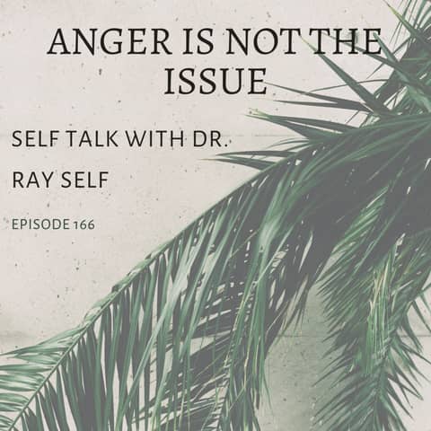 Anger is Not the Issue