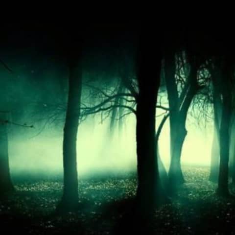 Beyond the Dark Paranormal with Don and Kelly Johnson