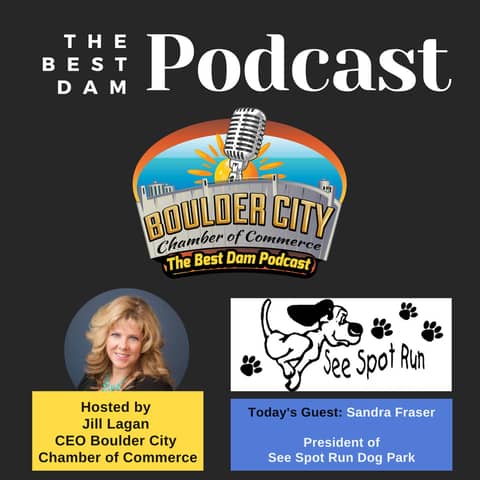 Sandra Fraser, President of See Spot Run Dog Park