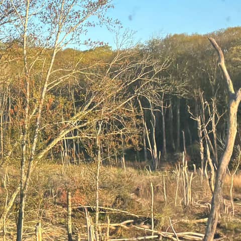 Short, but sweet; You’ll  get the Message and God bless you as You GROW Connecticut