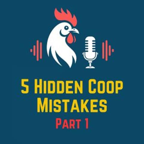 5 Hidden Coop Mistakes That Are Hurting Your Birds-Part 1