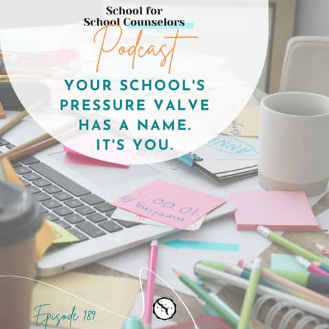 Your School's Pressure Valve Has a Name. It's You.