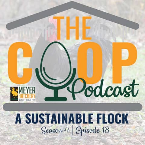 S4 E18 Podcast - A Sustainable Flock