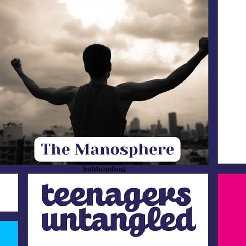 Raising Boys In The Age of the Manosphere - Vintage