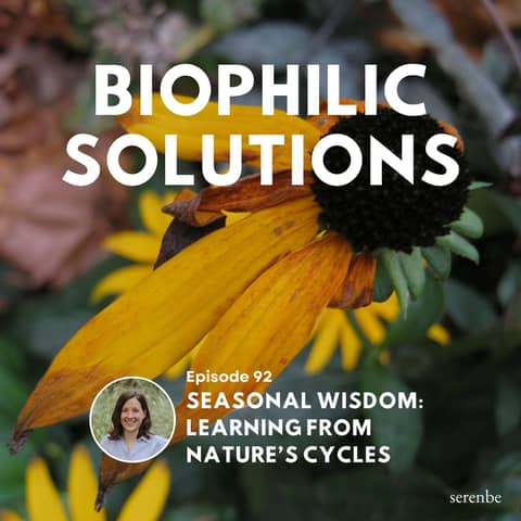 Seasonal Wisdom: Learning from Nature’s Cycles
