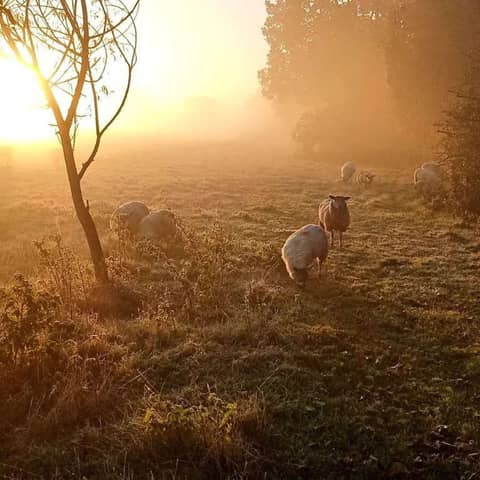 A Touch of Autumn (Apple picking time)
