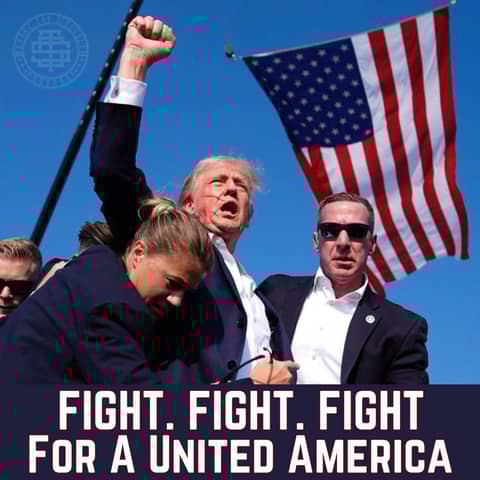 Fight. Fight. Fight For A United America 210