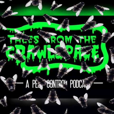 Flies in the Ointment