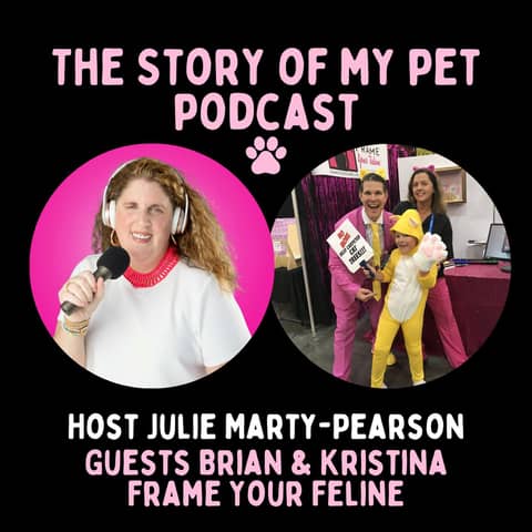 Shark Tank Success: Frame Your Feline's Journey to Fame