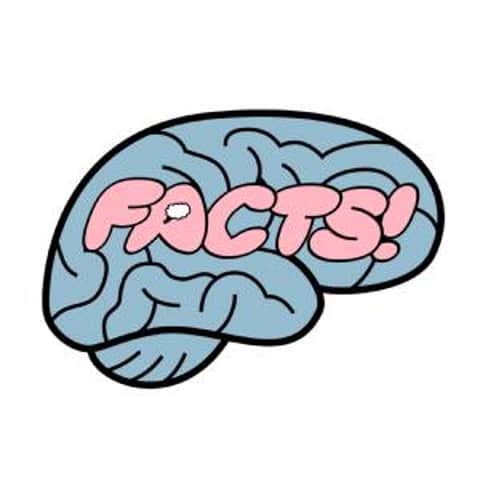 Your Brain on Facts