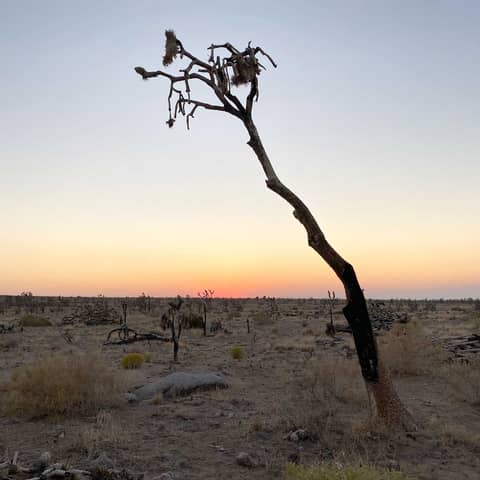 S4E31: 5 Years On: Cima Dome After the Flames