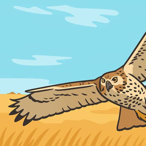 S4E40: The Battle for the San Rafael Valley