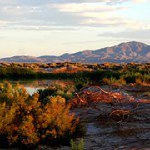 S3E16: Ash Meadows Faces New Mining Threat