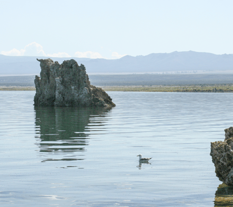 S5E9: Why Salt Lakes Matter More Than Ever