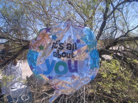 S1E17: Mylar Balloons: threat or menace? plus Joshua Tree NP AMA