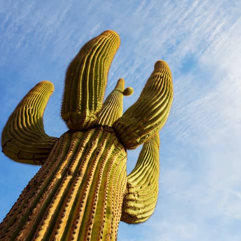 S3E12: Our 50th Episode