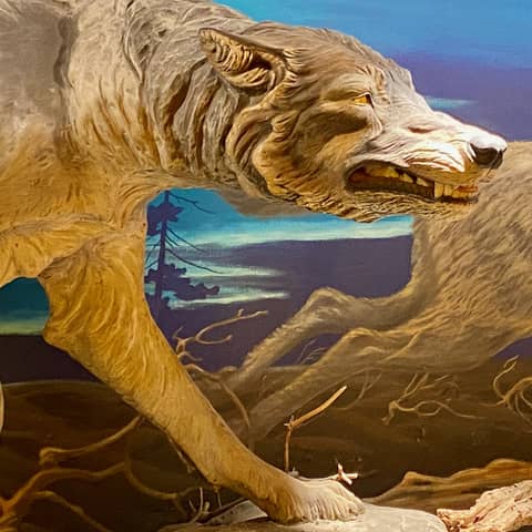 S4E12: We Need To Talk About "De-Extinction"