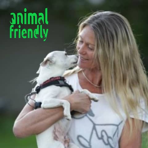 28. A Deeper Understanding of Dogs