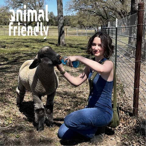 30. Choosing Kindness