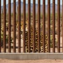 S5E16: The Double Border Wall: A New Environmental Catastrophe
