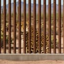 S5E16: The Double Border Wall: A New Environmental Catastrophe S5E16: The Double Border Wall: A New Environmental Catastrophe