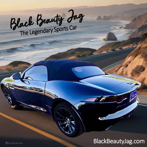 Black Beauty Jag