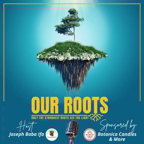Our Roots: Only the Strongest Roots See the Light Our Roots: Only the Strongest Roots See the Light