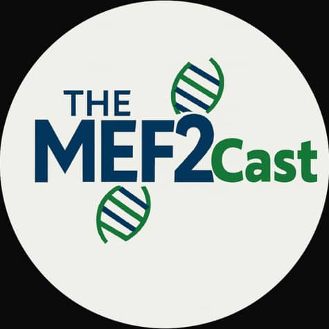 MEF2Cast