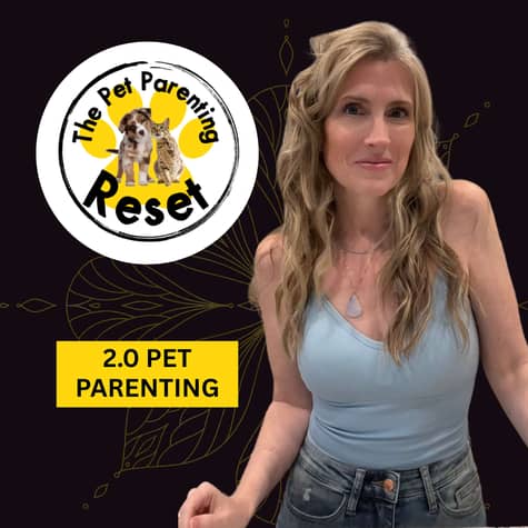 The Pet Parenting Reset