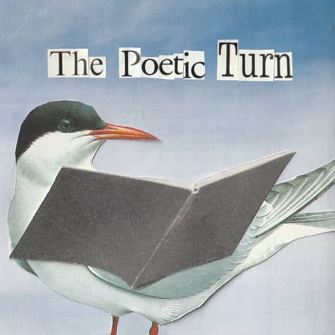 The Poetic Turn The Poetic Turn
