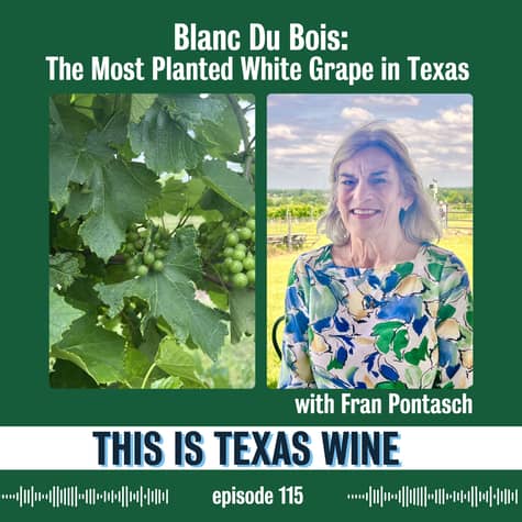 This Is Texas Wine