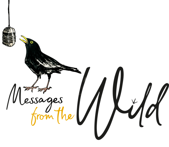 Messages from the Wild