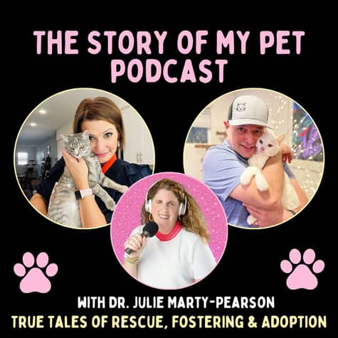 The Story of My Pet The Story of My Pet