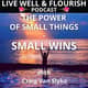 The Power of Small Things: The Small Wins Strategy of Change The Power of Small Things: The Small Wins Strategy of Change