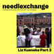 Liz Kueneke - Urban Fabrication Part 2 [NX044]
