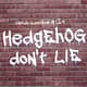 Episode 124: Hedgehog Don't Lie