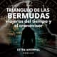 TRIÁNGULO DE LAS BERMUDAS, VIAJEROS EN EL TIEMPO Y EL CRONOVISOR