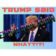 What did TRUMP say now?!? - Error 406 - Error Code Show