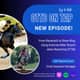 Ep.9 From Racetrack To Show Ring -- Using Exercise Rider Smarts When Restarting OTTBs Ep.9 From Racetrack To Show Ring -- Using Exercise Rider Smarts When Restarting OTTBs
