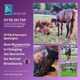 S2 E13: OTTB Aftercare Spotlight: How Mareworthy is Changing the Narrative for Retired Broodmares S2 E13: OTTB Aftercare Spotlight: How Mareworthy is Changing the Narrative for Retired Broodmares