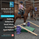 🎙 Preview: OTTB Training Diaries: Saddles, Setbacks & Small Wins – Go Green’s April Update