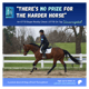 S3 E2: “There’s No Prize for the Harder Horse” An OTTB Buyer Reality Check | OTTB on Tap Unscripted Vol. 1. S3 E2: “There’s No Prize for the Harder Horse” An OTTB Buyer Reality Check | OTTB on Tap Unscripted Vol. 1.