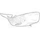 The Sperm Whale